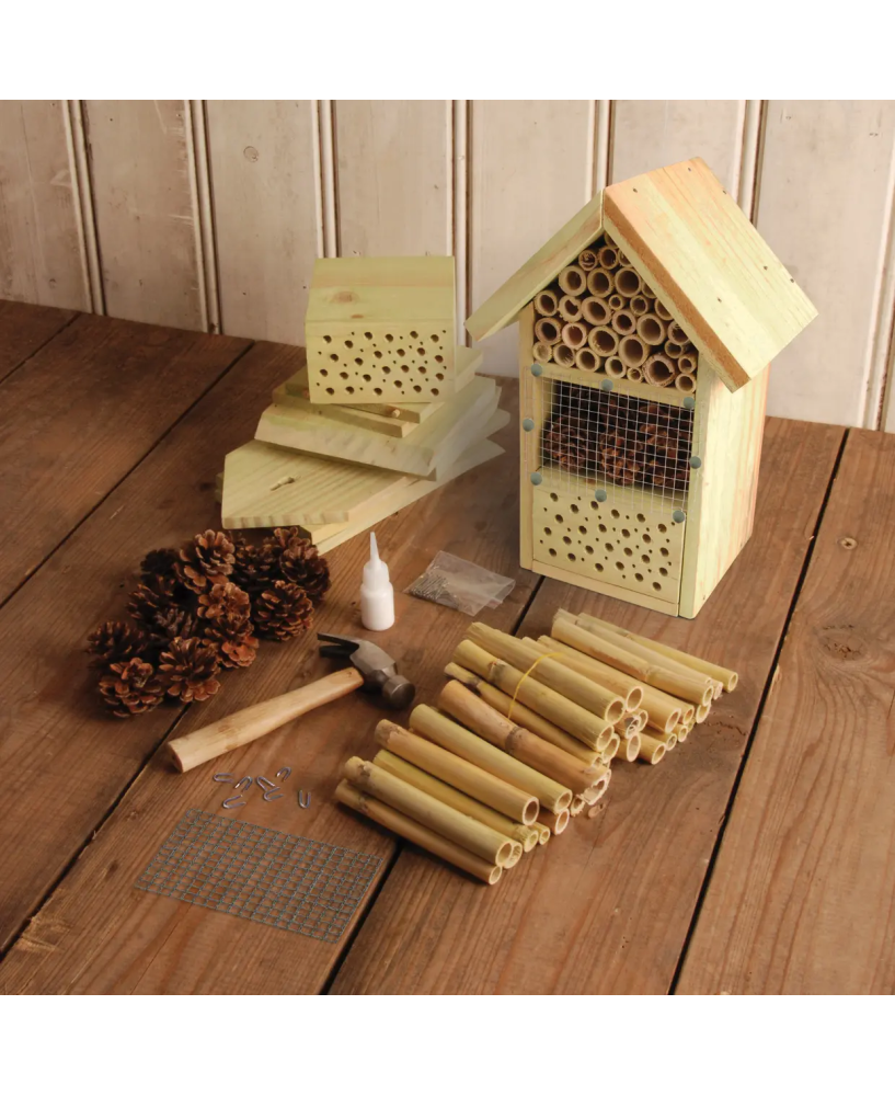 Hôtel à Insectes à Assembler